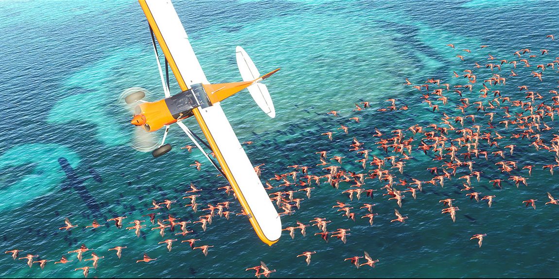 Microsoft Flight Simulator Landscape